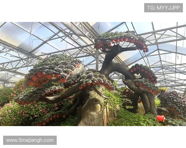 2026金华比赛:展现运动精神与城市魅力的盛会 2026金华比赛:展现运动精神与城市魅力的盛会